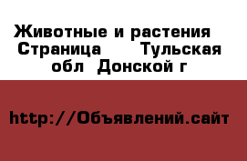  Животные и растения - Страница 10 . Тульская обл.,Донской г.